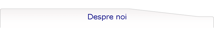 Despre noi