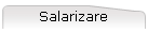 Salarizare