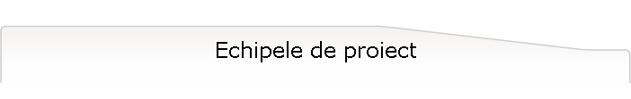 Echipele de proiect