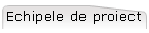 Echipele de proiect