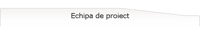 Echipa de proiect