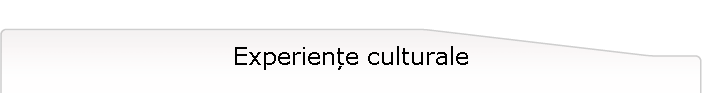 Experiențe culturale