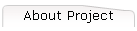 About Project