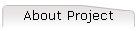 About Project