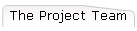 The Project Team