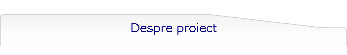 Despre proiect